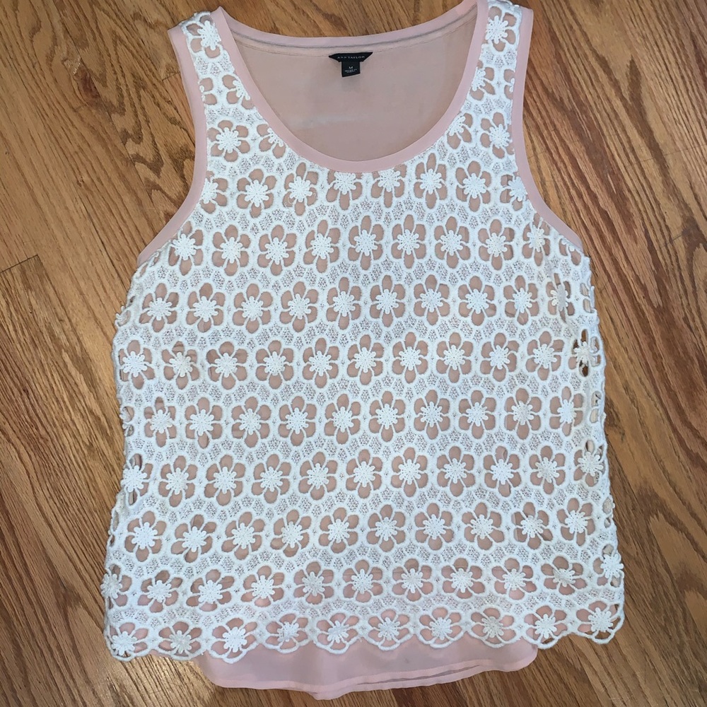 a n n    t a y l o r